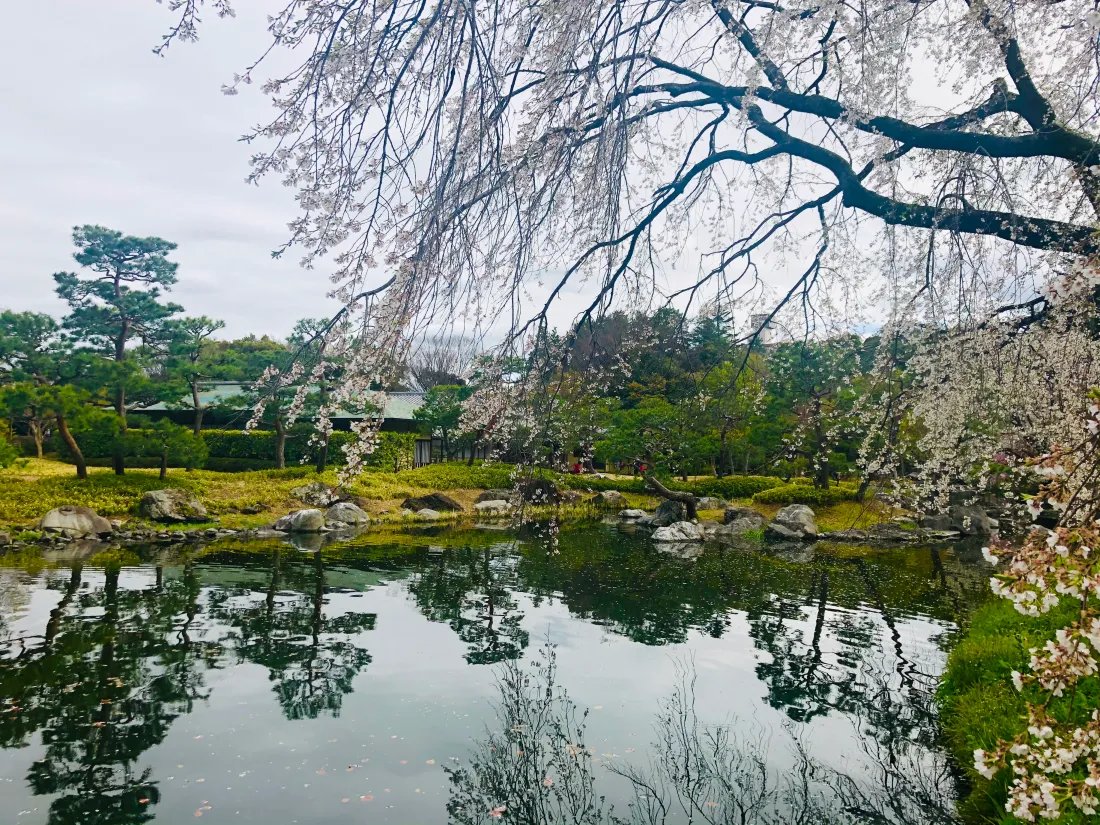 🌳 카누마 공원 (카누마 코엔) 이미지 4
